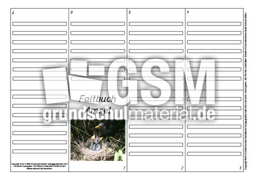 Faltbuch-Amsel-L-6.pdf